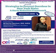Strategies to Prevent Overdose in New York State: A Harm Reduction Framework